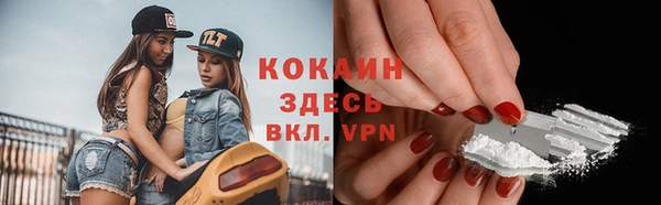 гашик Арсеньев