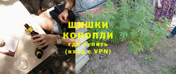 гашик Арсеньев