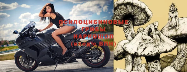 гашик Арсеньев