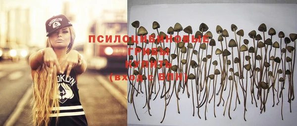 гашик Арсеньев